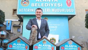 Başkan Yücel: Can dostlarımız için özveriyle çalışmalarımızı sürdürüyoruz