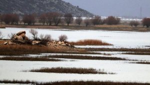 Kuruyan Avlan Gölü'nde sevindiren yağış