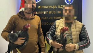 Horoz dövüştüren 5 kişi yakalandı