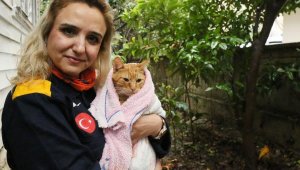 Antalya için uyarı 'turuncu'dan 'yeşil'e döndü; mahsur kalan kediyi kurtardı