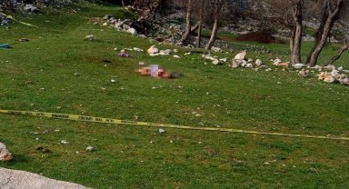 3 köpeğin saldırdığı kadın öldü
