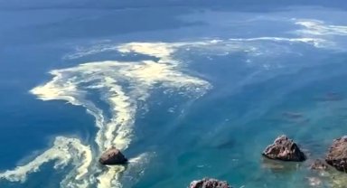 Denizdeki polen, 'müsilaj' sanıldı