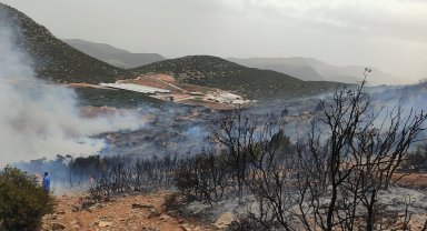 Korkuteli'de çalılık yangını