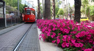 Antalya yazlık çiçeklerle renklenecek