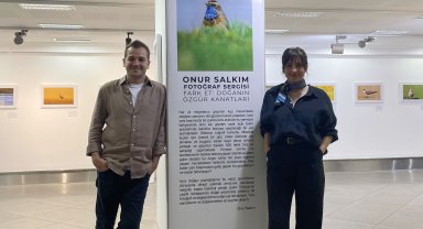 Doğanın özgür kanatları için 'fark et' sergisi