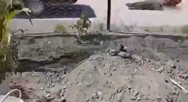 Köpek yüzünden tartıştığı kişiyi iple otomobilin arkasına bağlayıp sürükledi