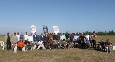 Serik'te Fermalı Av Köpekleri Yarışması