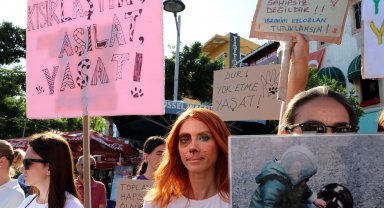 Sokak hayvanlarına yasal düzenlemeye tepki