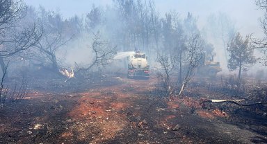 Antalya'da iki ayrı noktada yangın