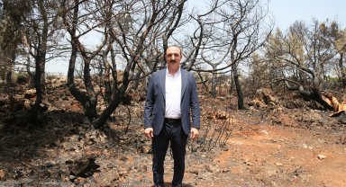 Başkan Kotan'dan 'yanan alan yeniden ağaçlandırılsın' girişimi