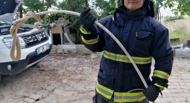 Hava ısındı, yılan korkusu başladı