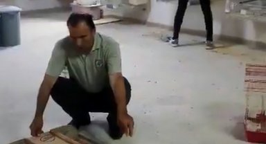 Yasa dışı üretilen 77 papağana el konuldu