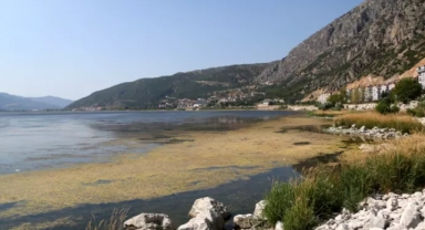 'Algler, Eğirdir Gölü'nü battaniye gibi kapladı'