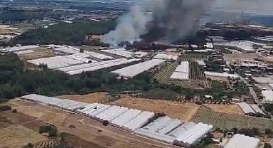 Aksu'da Orman Yangını