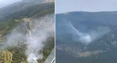 Balıkesir'de orman yangını