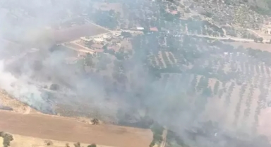 Çeşme'de orman yangını
