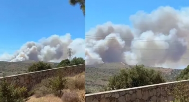 Çeşme'de orman yangını