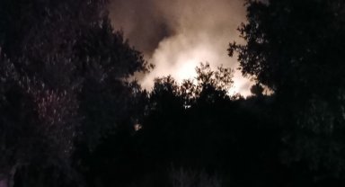 Döşemealtı'nda orman yangını