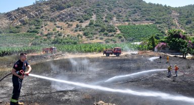 Gazipaşa'da çalılık yangını