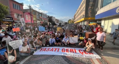 Hayvanseverlerden yürüyüş ve oturma eylemi