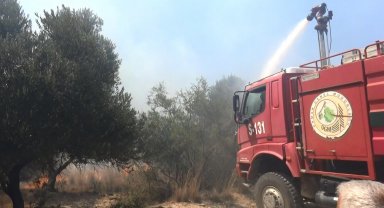 Çöplükte başlayan yangın, tarım arazilerine zarar verdi