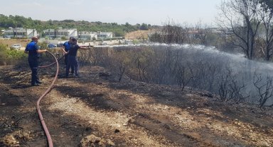 Manavgat'ta çalılık yangını