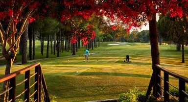 THY Dünya Golf Kupası Antalya'da