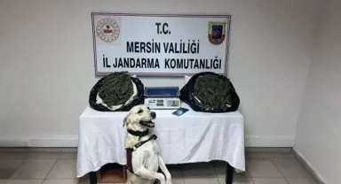 Uyuşturucu operasyonuna 3 gözaltı