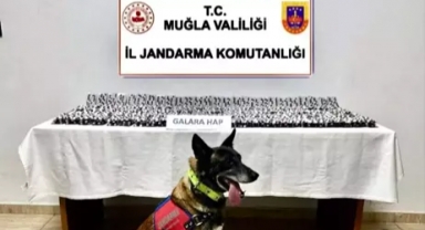 4 bin 756 sentetik hap ele geçirildi