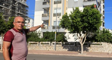 Ağacın içinden geçen 'elektrik telleri' korkusu