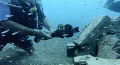 ANTALYA Plastik şişeye sıkışan nesli tehlike altındaki balığı kurtardı