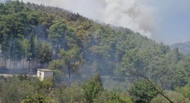 Serik'te orman yangını
