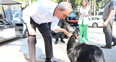 Başkan Kocagöz: 'Köpek yakıldı' iddiaları asılsız