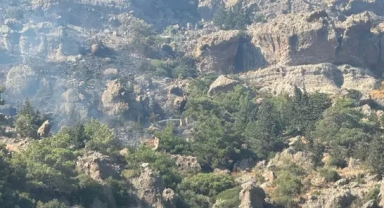 Bodrum'da makilik yangını