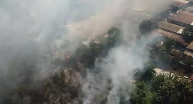 Bursa’da ot yangını