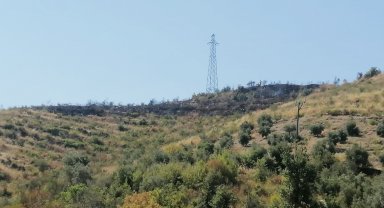 Gazipaşa'da çalılık yangını