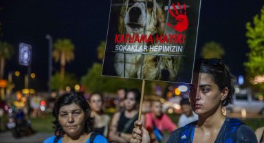 Hayvanseverler yasanın geri çekilmesi için eylem yaptı