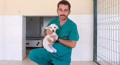 iki ayağı kesilen Şirin, hayata tutundu