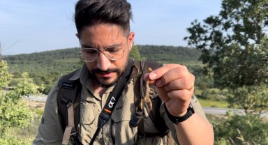 'Örümcek, yılan, akrep çok zehirli' haberlerine tepki