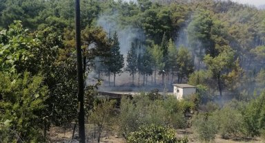 Serik'te orman yangını
