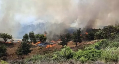 Tarım arazisinde yangın