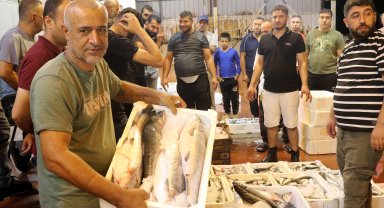 Akdeniz'de yasak kalktı, halde kilosu 30 TL'ye balık satılıyor