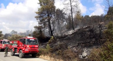 ANTALYA - Manavgat'ta tarım arazisinde yangın
