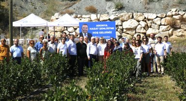 Antalya'da aronya hasadı başladı