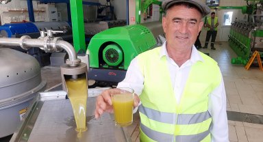 Kumluca'da zeytin sıkma sezonu başladı