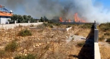 Yangında kümes hayvanlarını kurtarmak için seferber oldular