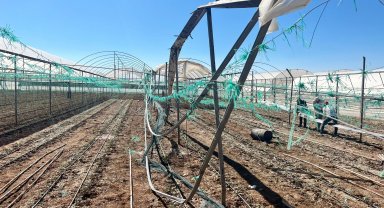 Antalya'da kuvvetli rüzgar ve yağmur, seralara zarar verdi