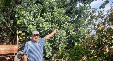 Bahçesinden geçen enerji nakil hattı korkutuyor