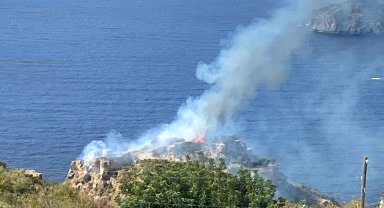 Gazipaşa'da makilik yangını