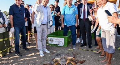 Yaralı 2 caretta carettal tedavi ve rehabilitasyon sonrası denize bırakıldı